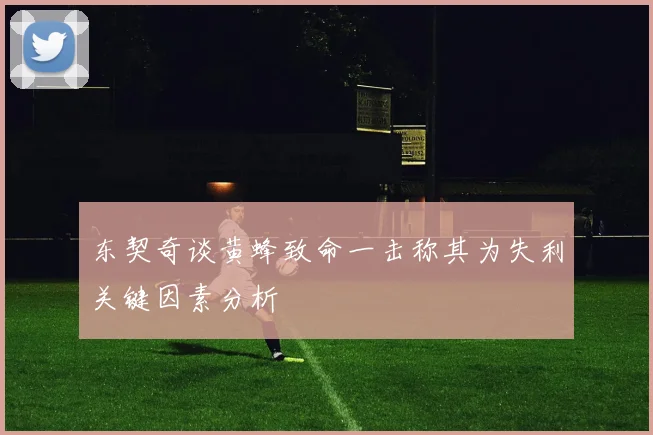 东契奇谈黄蜂致命一击称其为失利关键因素分析