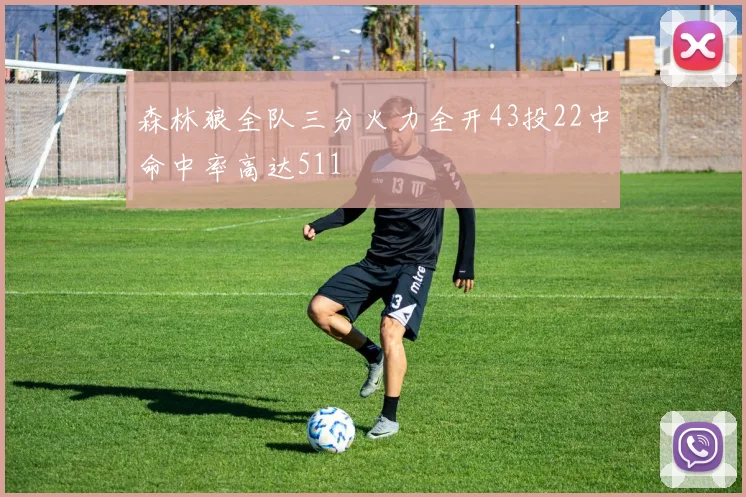 森林狼全队三分火力全开43投22中命中率高达511