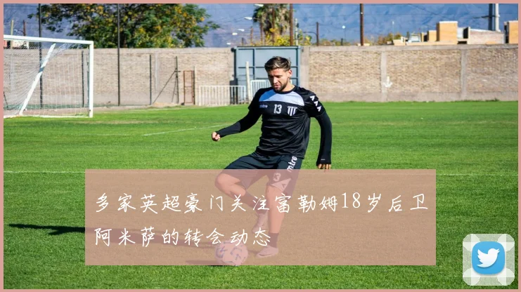 多家英超豪门关注富勒姆18岁后卫阿米萨的转会动态