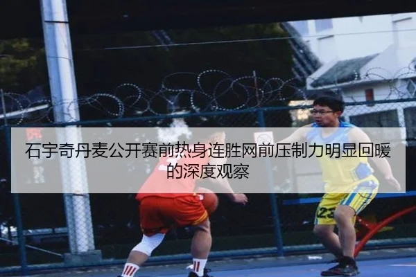 石宇奇丹麦公开赛前热身连胜网前压制力明显回暖的深度观察 | beats365